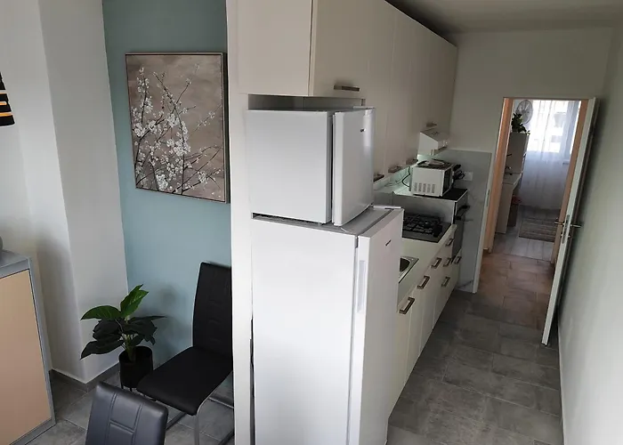 With Garage Apartament