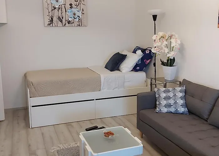 With Garage Apartament