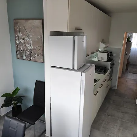 With Garage Apartment