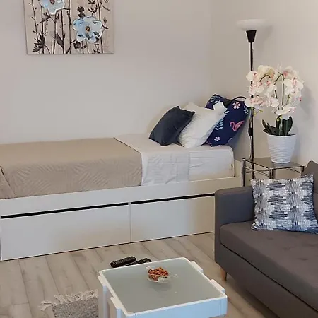 With Garage Apartment